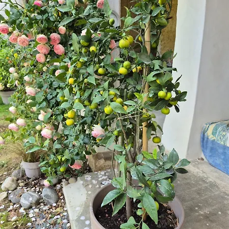 Maison Paradis Pr Enfants