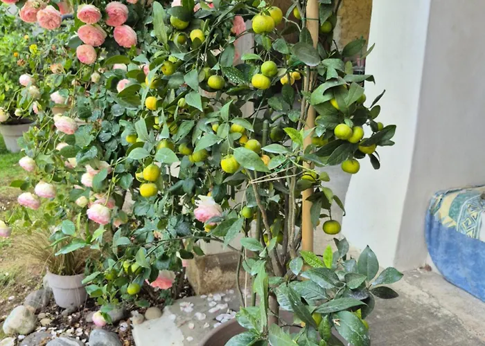 Maison Paradis Pr Enfants